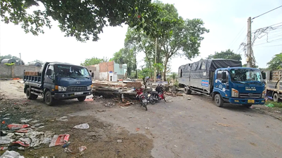 Lutter résolument contre les ménages qui empiètent sur les terres pour des constructions illégales dans le parc industriel de Bien Hoa 1