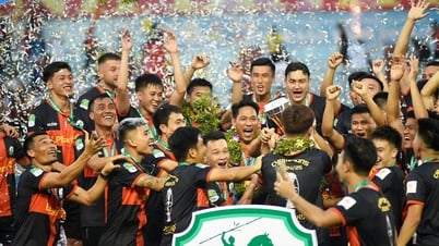 Ninh Binh Club continuously buys 'stars': Determined to win the championship like HAGL in 2003
