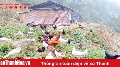 몽족은 OCOP 제품을 만든다