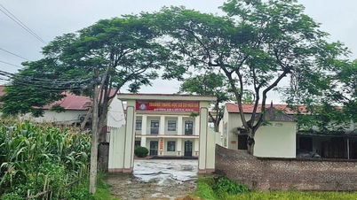 The case of 'suspending' student health insurance in Phu Tho: Ensuring maximum benefits for students