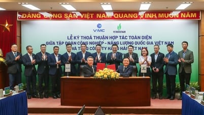 Nouvel élan pour l'économie, VIMC et PVN concluent officiellement une coopération stratégique globale