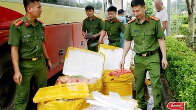 Seized 476 kg of animal organs transported on passenger bus
