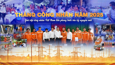 Công đoàn Công ty Điện lực Long An - Luôn đồng hành cùng người lao động