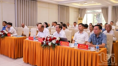 Thai Nguyen: Catholics live a good life and practice their religion