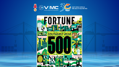 VIMC lần đầu tiên lọt top 500 doanh nghiệp lớn nhất Đông Nam Á Fortune 2025