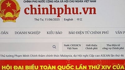 Cổng Thông tin điện tử Chính phủ: Nhịp cầu nối liền Trung ương với địa phương và người dân