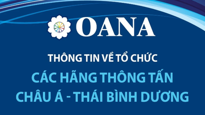 ข้อมูลเกี่ยวกับองค์กรสำนักข่าวเอเชียแปซิฟิก