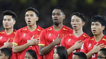 Chủ tịch VFF mất ngủ, bạc đầu vì chuyện cầu thủ nhập tịch