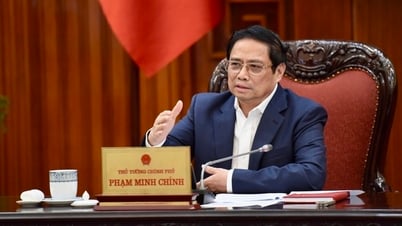 Thủ tướng Chính phủ phân công các Phó Thủ tướng chỉ đạo thực hiện một số công việc trọng tâm, cấp bách