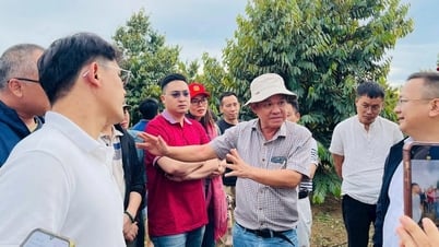 Bầu Đức chi gần 130 tỉ đồng mua cổ phiếu Hoàng Anh Gia Lai