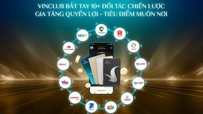VinClub amplía ecosistema exclusivo para clientes