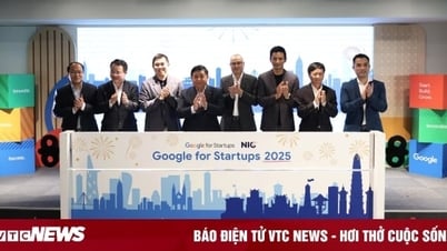 150 startups được hỗ trợ để phát triển các kỹ năng AI tiên tiến nhất 