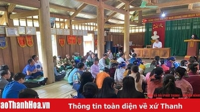 법률 보급, 법률 교육, 법률 지원
