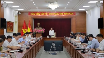Bộ VHTTDL: Đẩy mạnh truyền thông chính sách để tạo sự đồng thuận trong xây dựng và thực thi pháp luật