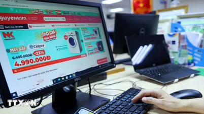 디지털 플랫폼에서의 위반 사항 처리: 새로운 상황에 맞게 조례를 개정해야 할까?