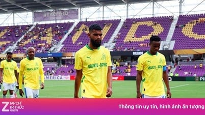 Cảnh tượng gây kinh ngạc tại FIFA Club World Cup 2025™