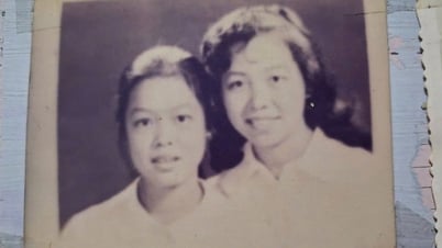 Đặng Thùy Trâm và những mùa hè định mệnh: Đớn đau và đẹp đẽ!