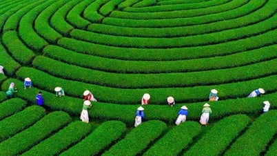 Sơn La: Lan tỏa bản sắc văn hóa Tây Bắc