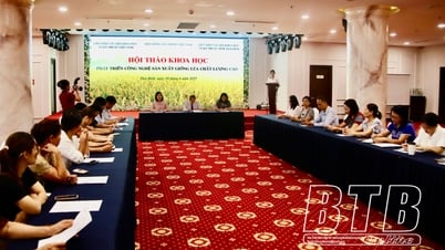 Taller sobre desarrollo de tecnología para producir variedades de arroz de alta calidad