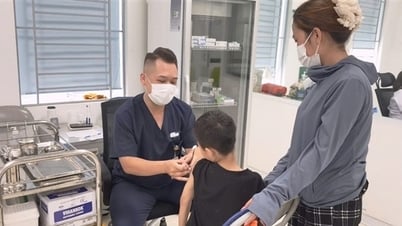 De nombreux enfants ont été gravement attaqués par des chiens pendant l’été.