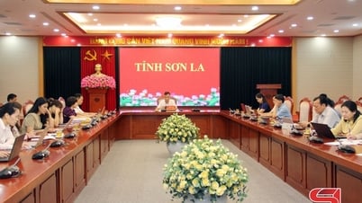 Triển khai các văn bản quy phạm pháp luật trong lĩnh vực quản lý, sử dụng tài sản công