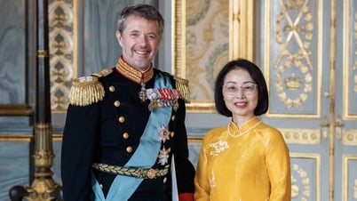 Ambassador Nguyen Le Thanh presents his credentials to King Frederik X of Denmark