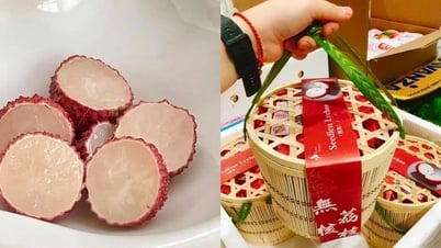 Vải Trung Quốc 700.000 đồng/kg có gì đặc biệt mà người Việt lùng mua?