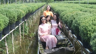 Đồng Tháp thu hút du khách bởi nét đẹp mộc mạc, tự nhiên