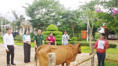 អមដំណើរស្ត្រីនៅតាមតំបន់ព្រំដែន ជួយ 1,324 គ្រួសារនៅ Dak Nong ឱ្យរួចផុតពីភាពក្រីក្រ