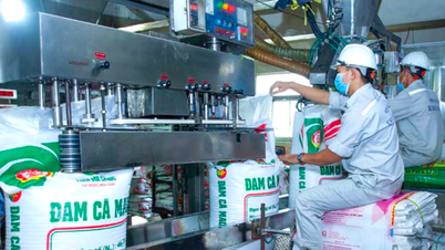 'Ông lớn' chiếm gần 11% thị trường phân bón dự đoán giá sẽ tiếp tục tăng