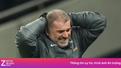 Lý do Tottenham sa thải Postecoglou