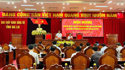Gia Lai: Kết thúc hoạt động Đảng bộ cấp huyện và thành lập Đảng bộ cấp xã mới