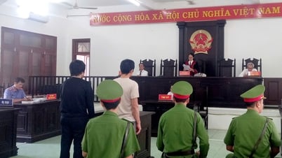 From small conflicts to the law