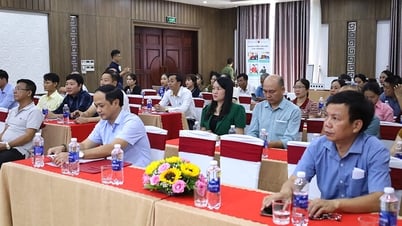 Tập huấn kiến thức pháp luật về sử dụng năng lượng tiết kiệm và hiệu quả