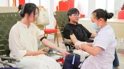 Blood donation festival "Central Highlands Red Drops"