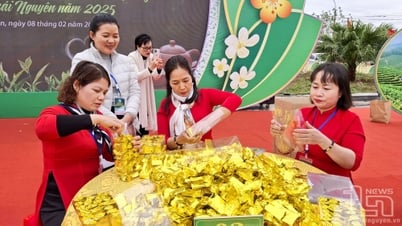 Chè Thái Nguyên chinh phục thị trường thế giới - Kỳ 1: Những lợi thế vượt trội