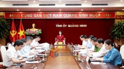 Thường trực Tỉnh ủy làm việc với Tiểu ban phục vụ Đại hội đại biểu Đảng bộ tỉnh lần thứ XVI, nhiệm kỳ 2025-2030