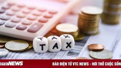 ¿Los ingresos inferiores a 100 millones de VND al año deben pagar impuestos?
