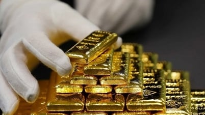 Precio del oro hoy (18 de junio): El precio del oro doméstico disminuyó, el oro...