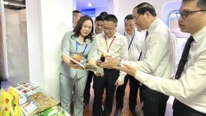 Tăng cường hội nhập kinh tế quốc tế