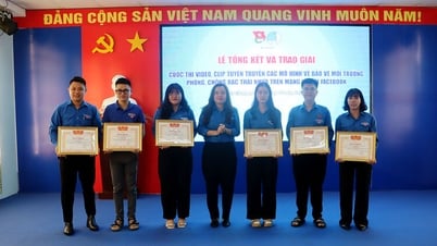 An Giang Provincial Youth Union awarded prizes to 2 competitions