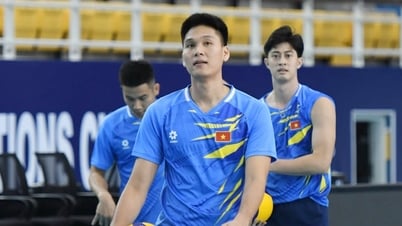 Women's volleyball wins Asian championship, men's team can hardly dream of miracle