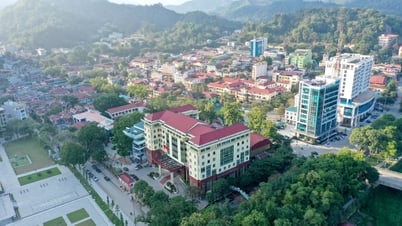After the merger, Tuyen Quang province has only 7 wards and 117 communes.