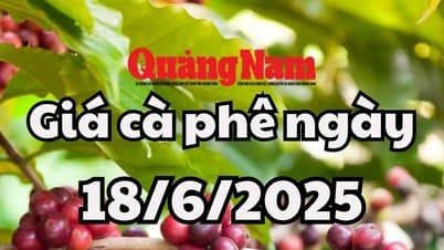 Giá cà phê hôm nay 18/6/2025 ở Đắk Lắk giữ mức cao nhất trong khu vực