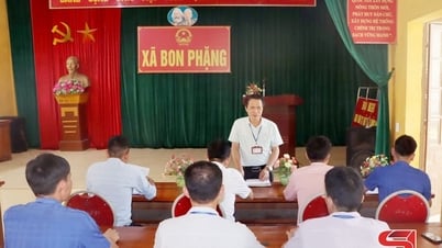본팡은 경제 발전 잠재력을 활용합니다