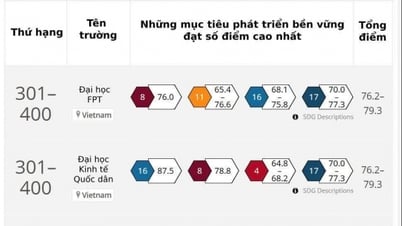 2025年の世界影響力ランキングにベトナムの16の大学がランクイン