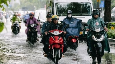 Wetter heute, 18. Juni: Nördliches Delta und Zentralregion heiß und sonnig, südliche Region Schauer