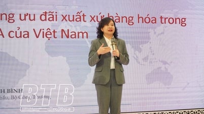 Tăng cường năng lực xuất khẩu cho doanh nghiệp qua tập huấn quy tắc xuất xứ hàng hóa