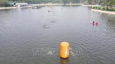 Giải vô địch các CLB Triathlon quốc gia hứa hẹn những cuộc tranh tài kịch tính