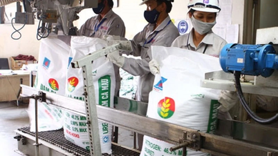 Kim ngạch xuất khẩu phân bón tăng 26,6%